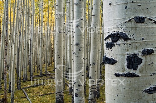 Nature / landscape royalty free stock image #853654088