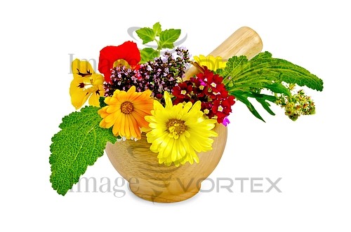 Flower royalty free stock image #853442150