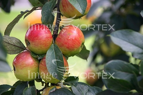 Industry / agriculture royalty free stock image #865030724