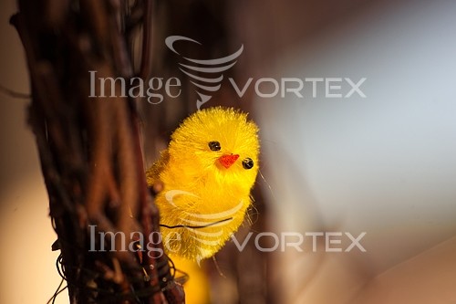 Bird royalty free stock image #865771158