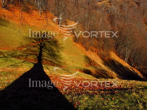 Nature / landscape royalty free stock image #871406954