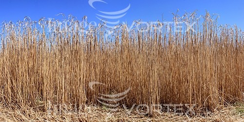 Industry / agriculture royalty free stock image #871067064