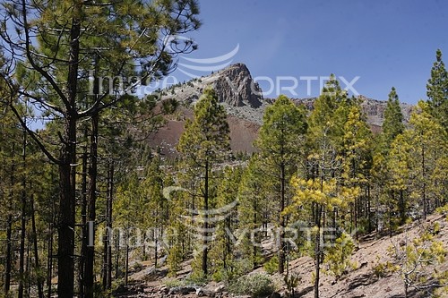 Nature / landscape royalty free stock image #876293427