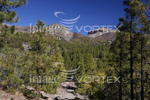 Nature / landscape royalty free stock image #876016273