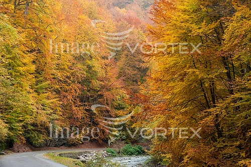 Nature / landscape royalty free stock image #882384265