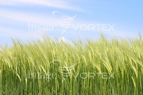 Industry / agriculture royalty free stock image #884381926