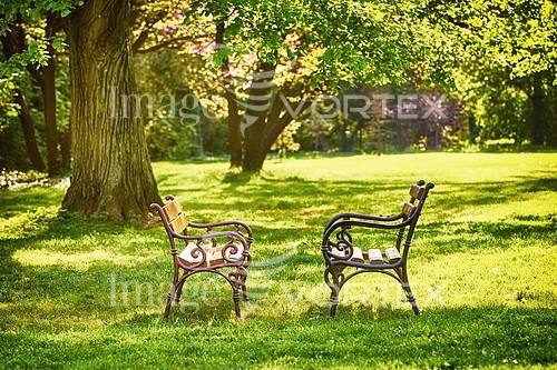 Park / outdoor royalty free stock image #886755319
