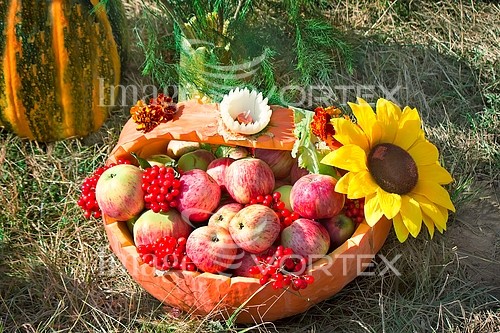 Industry / agriculture royalty free stock image #887723538