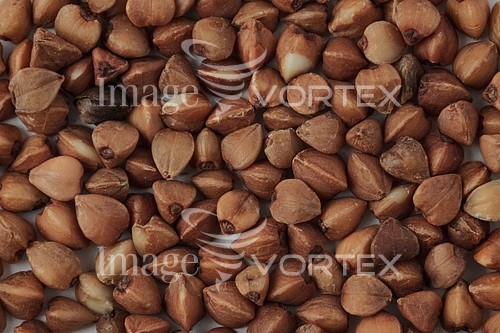 Background / texture royalty free stock image #889835471