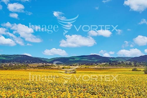 Industry / agriculture royalty free stock image #891148572
