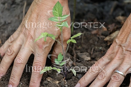 Industry / agriculture royalty free stock image #895381385