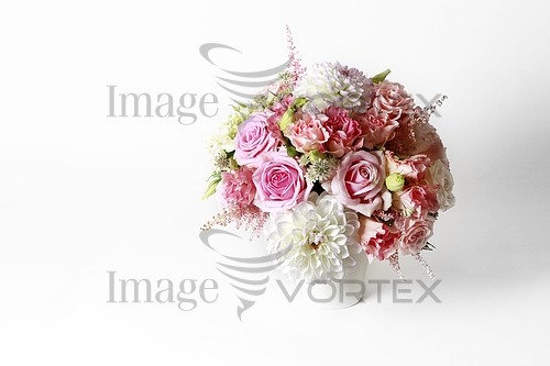 Flower royalty free stock image #895729778