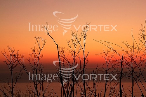 Sunset / sunrise royalty free stock image #896513212