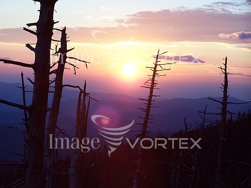 Sunset / sunrise royalty free stock image #900159330