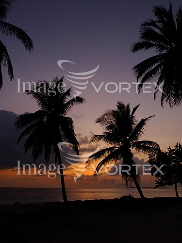 Sunset / sunrise royalty free stock image #907694010