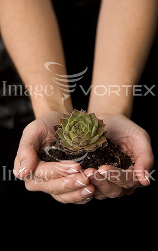 Industry / agriculture royalty free stock image #909150397