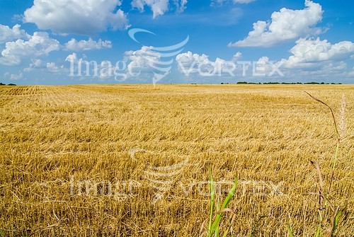 Industry / agriculture royalty free stock image #913499119
