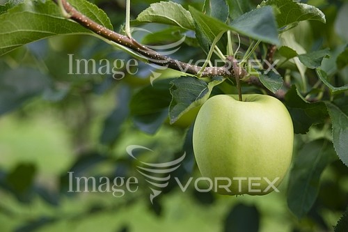 Industry / agriculture royalty free stock image #916118515