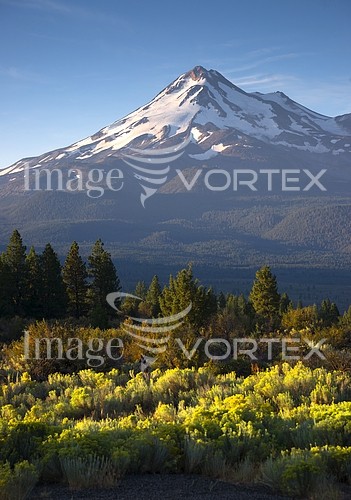 Nature / landscape royalty free stock image #916331395