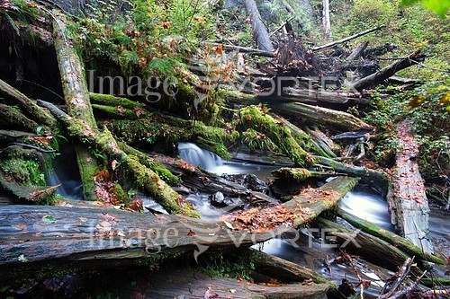 Nature / landscape royalty free stock image #921826834