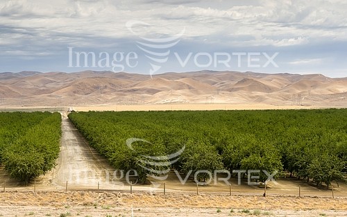 Industry / agriculture royalty free stock image #922595458