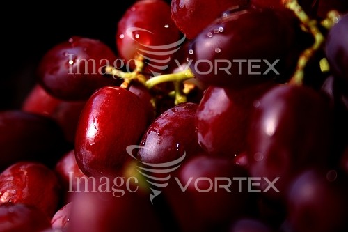 Food / drink royalty free stock image #922336364