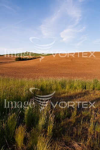 Industry / agriculture royalty free stock image #925793515