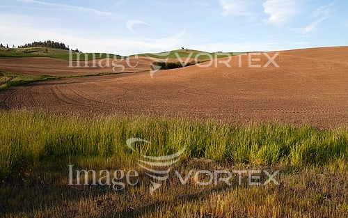 Industry / agriculture royalty free stock image #925808913