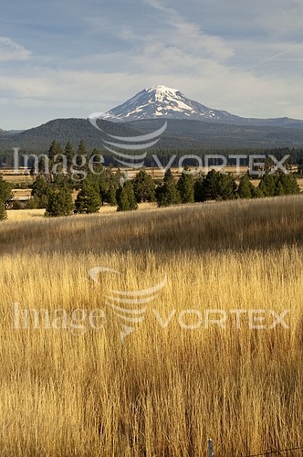 Industry / agriculture royalty free stock image #925826905