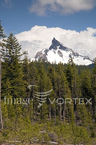 Nature / landscape royalty free stock image #925661504