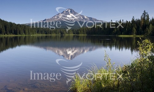 Nature / landscape royalty free stock image #928016774