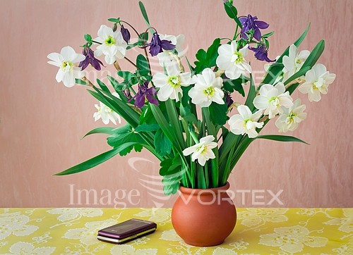 Flower royalty free stock image #930753089