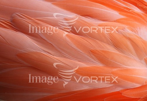 Background / texture royalty free stock image #932652295