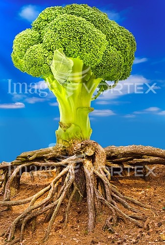 Industry / agriculture royalty free stock image #933999087