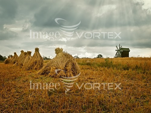 Industry / agriculture royalty free stock image #934546177
