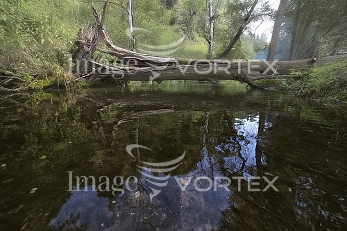 Nature / landscape royalty free stock image #935227743