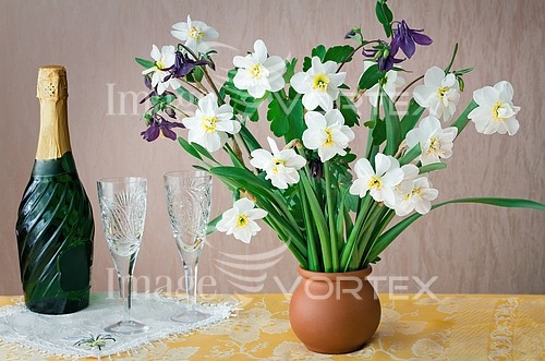Flower royalty free stock image #936470026