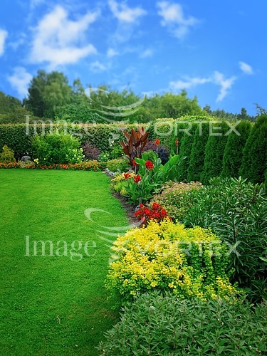 Park / outdoor royalty free stock image #938856999