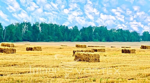 Industry / agriculture royalty free stock image #941004677