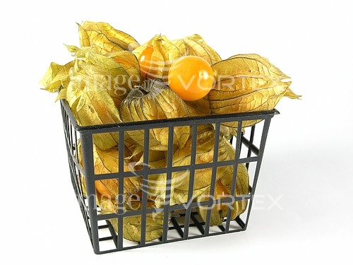 Food / drink royalty free stock image #945392896