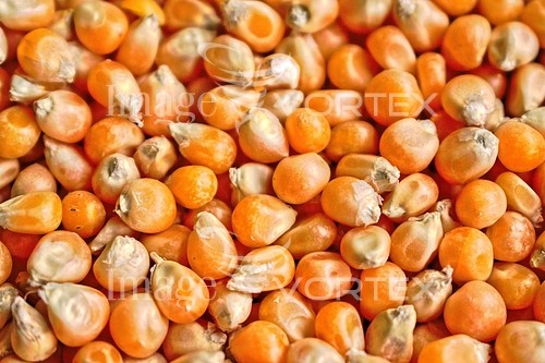 Food / drink royalty free stock image #946193960