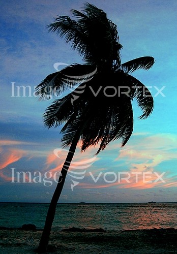 Sunset / sunrise royalty free stock image #952263630