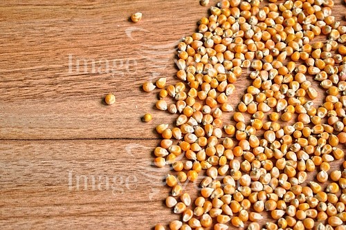 Food / drink royalty free stock image #952412653