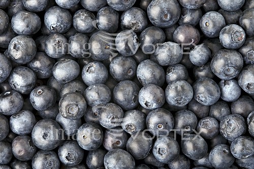 Food / drink royalty free stock image #966750815