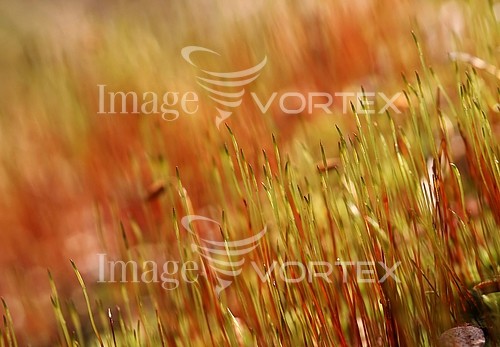 Nature / landscape royalty free stock image #990967149