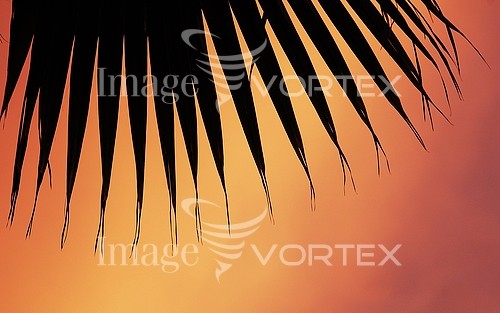 Sunset / sunrise royalty free stock image #993170274