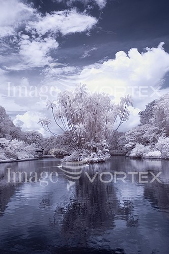 Nature / landscape royalty free stock image #998300441
